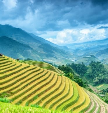 el Vietnam más Auténtico